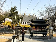 -护国法轮寺