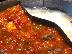 -阳阳老火锅(小南门店)