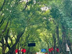 -杭州半山国家森林公园