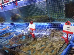 -必点海鲜·鲅鱼水饺(鞍山西道店)