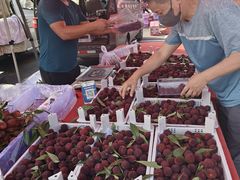 -三旗百汇商品城