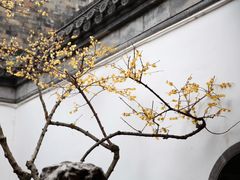 -个园