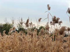 -汉长安城未央宫国家考古遗址公园