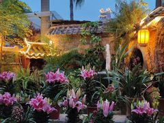 -园林美食城·本土农家菜(杨和镇店)