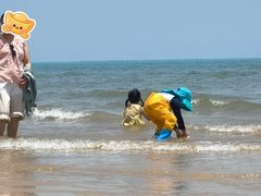 -日照海滨国家森林公园