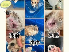 -汪说喵讲宠物乐园宠物酒店(红星美凯龙店)