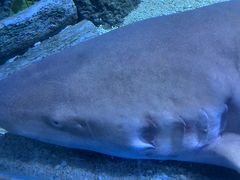 -常州海昌海洋探索馆