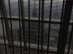 -上海柏悦酒店