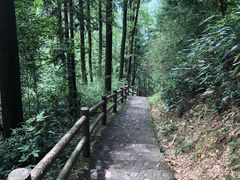 -藏龙百瀑风景区