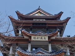 -白金汉爵大酒店-24小时餐厅