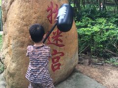 -广东茂名森林公园