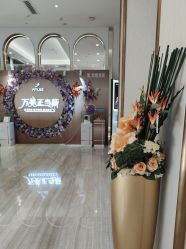 -深圳美莱医疗美容医院