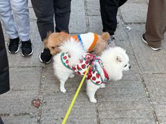-辛庄国际文化艺术区