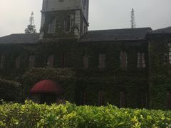 -半岛公馆(淞兴西路店)