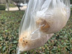 -糯米包油条(武汉大学店)