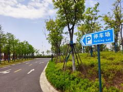 -春花秋色城市公园