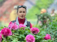 -花之城