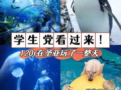 -大连圣亚海洋世界
