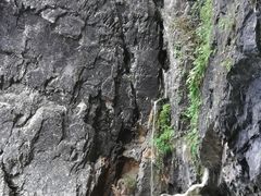 -塔云山