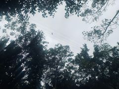 -呀诺达热带雨林