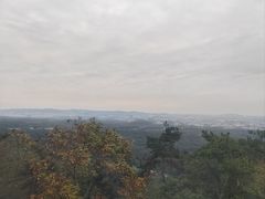-紫金山山顶公园