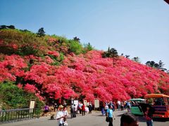 -木兰云雾山