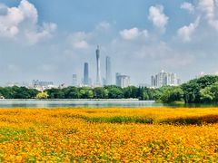 -海珠湖公园