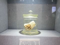 -唐山抗震纪念馆