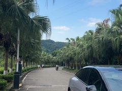 -重庆海昌加勒比海水世界