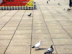 -大连人民广场
