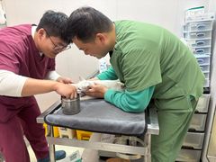-瑞鹏宠物医院·宠保定点·心脏科·内科(御桥分院)