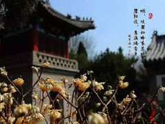 -戚继光故里