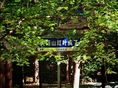 -关门山森林公园