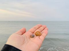 -东戴河风景区-止锚湾