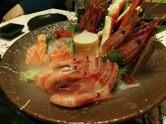 -左舞日本料理