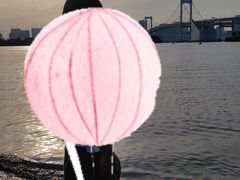 -台场海滨公园船码头
