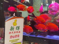 -新辉港式茶餐厅(北栅店)