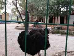 -武汉紫薇都市田园