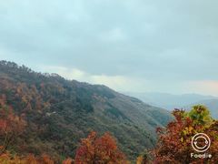 -莫干山风景区