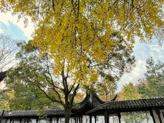 -苏州上方山国家森林公园