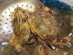 -喜多鲜生海鲜自助(无锡旗舰店)