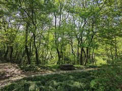 -蜀冈西峰生态公园