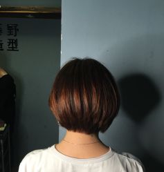 -藤野造型