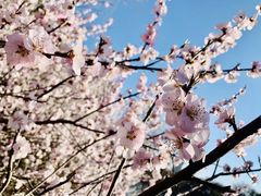 -旺顺阁海鲜广场(亚运村店)