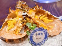 小青龙-东海怡品海鲜豆捞(星街坊店)
