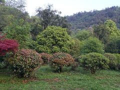 -贵阳市花溪国家城市湿地公园