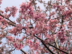 -龟山风景区-龟山电视塔