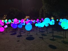 -锦江乐园舞狸花花游园会(夜场专享)