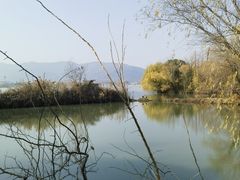 -长兴太湖图影湿地文化园