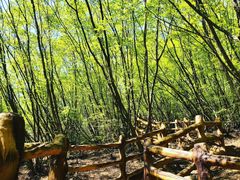 -黑龙潭风景区